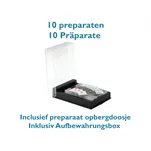 Preparaat Beenweefsel mens, sectie (10 stuks in doos)