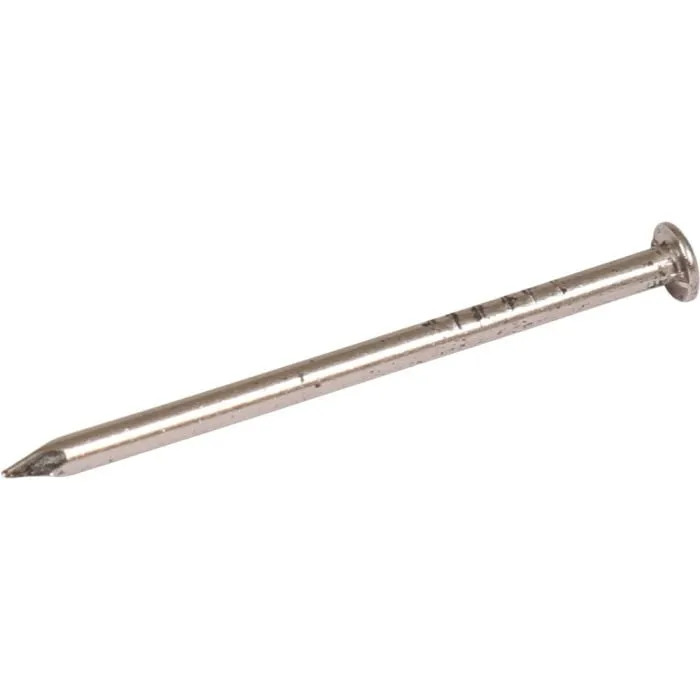 RVS NAGELS BOLKOP 2.1X40                DOOS: 1 KG